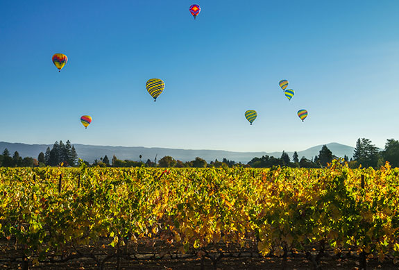 hot air balloon above vineyards in sonoma county california