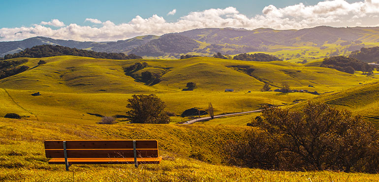 hillsides of petaluma with a bench